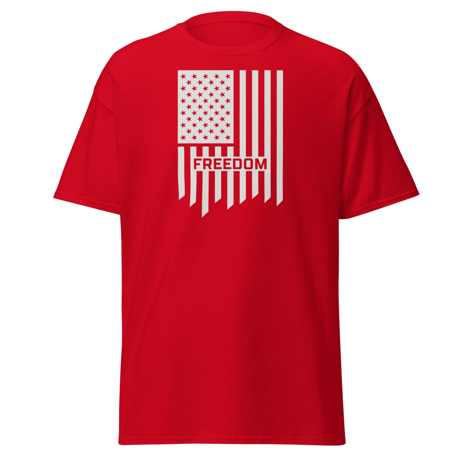 Unisex classic tee