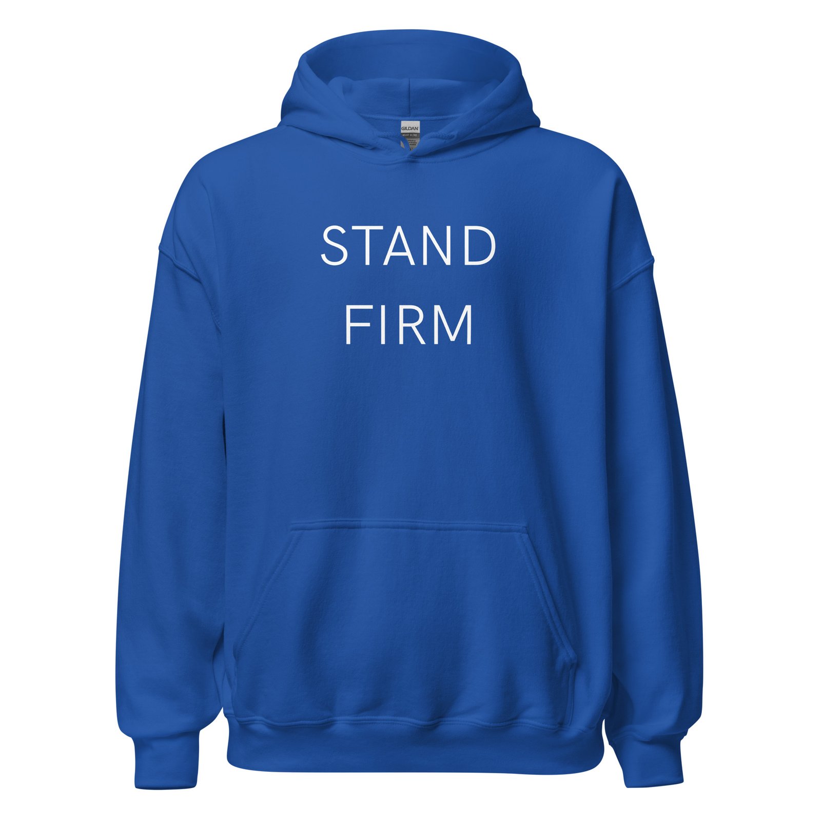 unisex-heavy-blend-hoodie-royal-front-6a973cceaec84.jpg